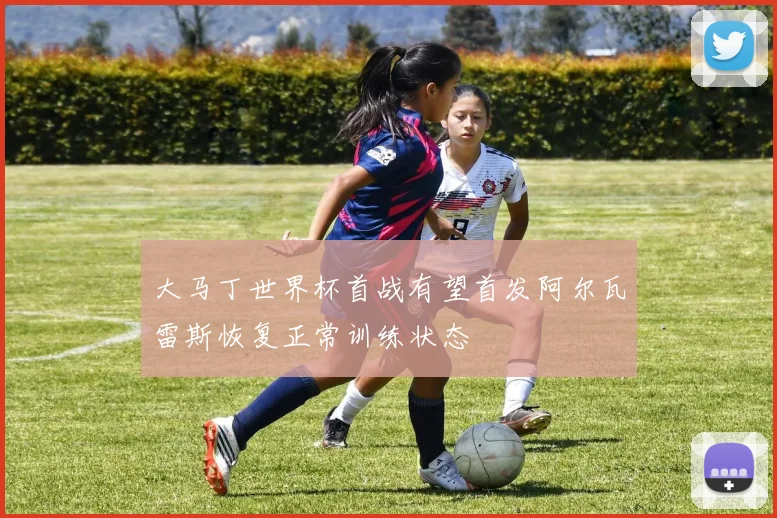 大马丁世界杯首战有望首发阿尔瓦雷斯恢复正常训练状态